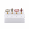 Kit-de-Polissage-Composite-2-etapes