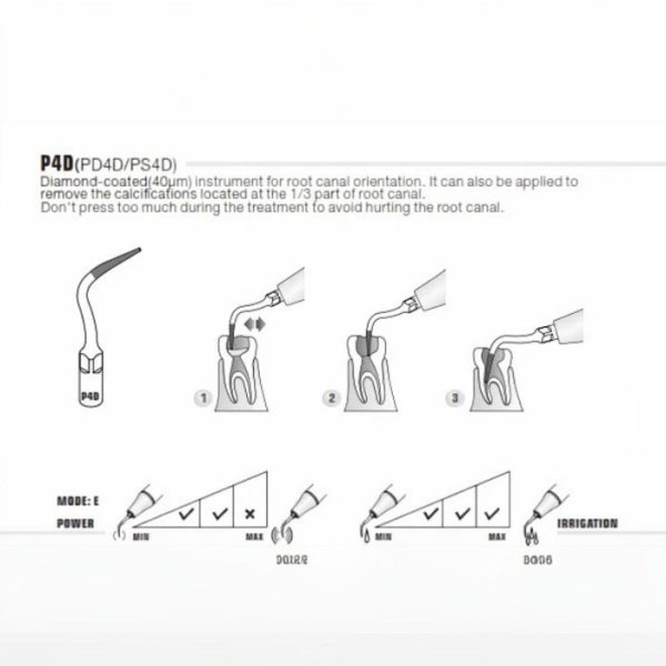 p4d 2