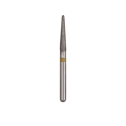 Fraise TR_13EF